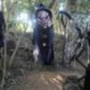 제주허브동산 이미지