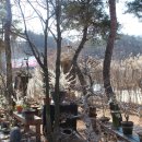 미선농장 이미지