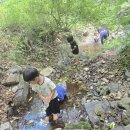 7월 셋째주 생태놀이(용담정 물놀이/페트 물총놀이/나뭇잎배 놀이/물분수대 뿌리기/시원한 손발촉감 느끼기/식물들 물주기) 이미지