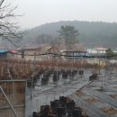 송수농장 이미지