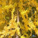 (주) 암새들 이미지