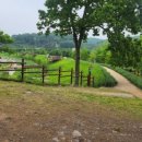 고천공원 이미지