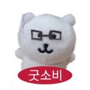 처음 사본 홈케어 디바이스 메디큐브 에이지알 하이포커스샷 내돈내산 후기