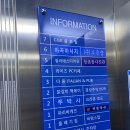 강서구 돌사진 아기사진관 가성비 등촌동사진관