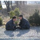 대명영양탕 이미지