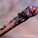 경주시농업기술센터 이미지