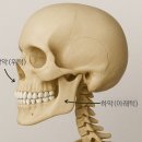 하안치과의원 | 무턱 돌출입 원인을 알아야 치료 방법을 찾습니다