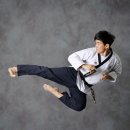 대한미르태권도장 이미지