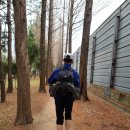 화명2동 대천천길 쌈지공원 | 화명동에 봄이 오나봄