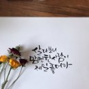 캘리그라피 티스토리
