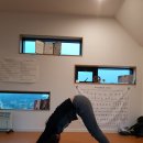 푸르메가살고있는곳 이미지