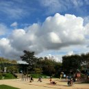 하얀쪽배 Daum카페