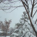 솔빛공원 1 이미지