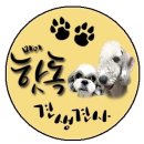 (주)핫독 이미지