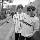 오아시스 이미지