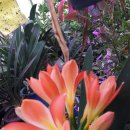 모전자전 이미지