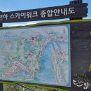 단양관광안내소 | 단양 만천하 스카이워크 절경을 걷는 짜릿한 체험