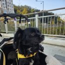 햇빛동물병원 이미지