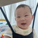 레더플레이 이미지