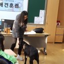 태봉초등학교 이미지