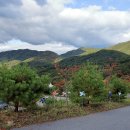 에코유 캠핑장 이미지