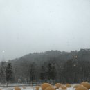 단양한우 목장 이미지