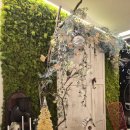 KATO | 용산 파스타 맛집 카토(KATO) 용산점 솔직 후기 🍝