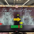 더바른교정운동센터 이미지