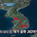 코리아헌터 티스토리