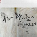 서정캘리그라피
