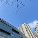 금나래 동물병원 이미지