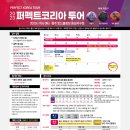 퍼펙트투어 Daum카페