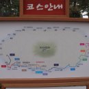 제주올래 Daum카페