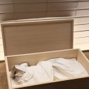 우리장례식장 - 곡성군 천변로 83 | [남양주]21그램 강아지 장례식장 ✨내돈내산 찐 후기✨