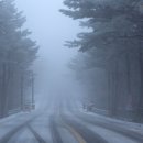 능동자동차 이미지