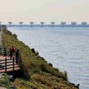 낙동강자전거길 이미지