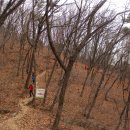 안곡초등학교 이미지