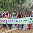 일석이조 이미지