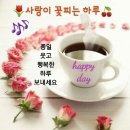 🌺의사들은 절대 안알려주는 꿀의 모든 것🌺 이미지