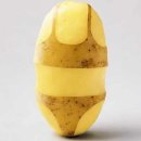 야스라기 이미지