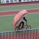 초밥이야기 Daum카페