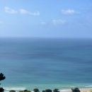 아폴로 스테이 이미지