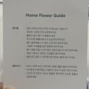 디어로즈무드 이미지