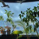 제주를 그리다 이미지