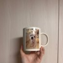 🐶 감성 듬뿍! 강아지굿즈로 만든 핸드디자인 포토머그컵제작 후기 (돌잔치 답례품·생일선물 추천)