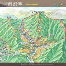 초원 숲속 야영장 이미지