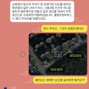 시민로66번길 이미지