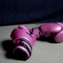 잽주다 복싱클럽 이미지