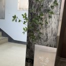 광주 충장로 셀프 스튜디오 스튜디오찍음 내 돈 내산 후기