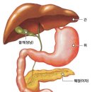 당뇨완치법. 이미지